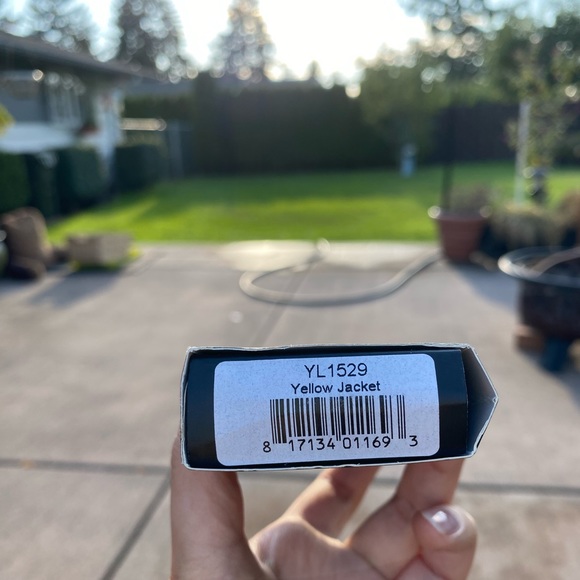 Real Yellow Jacket Wasp Bracelet Gothic - Picture 9 of 9